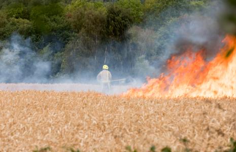 Our world is feeling the heat
