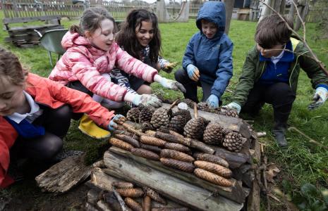 Schools for nature report