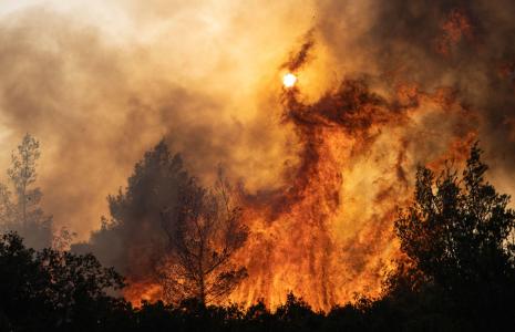 Tell your MP to act on climate change