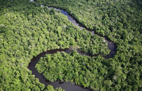Join WWF as a member