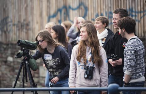 Young Voices for Nature