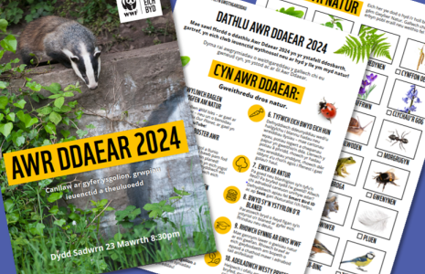 Earth Hour Activity Pack - Welsh