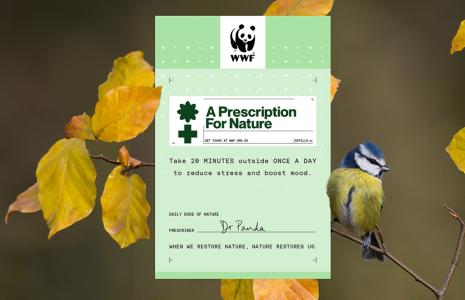 A Prescription For Nature