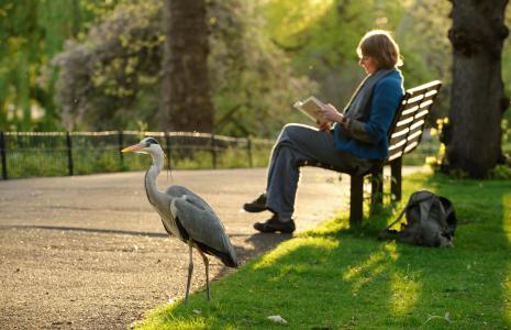 Get a daily dose of nature - at work!