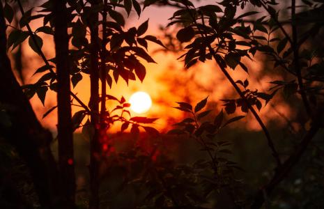 Ways to help Wildlife in the heat