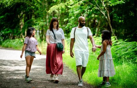 Feel good forest trail