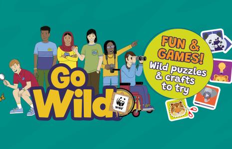 Go wild - games for kids