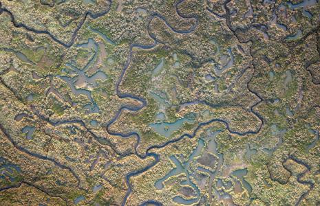 Saltmarshes