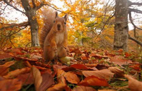 A Prescription for Nature