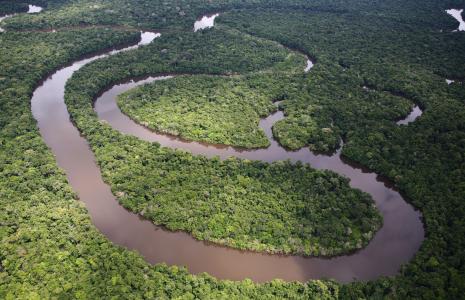 The Climate Recovery Fund