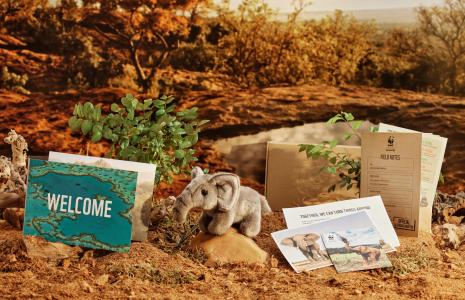 Adopt an animal as a gift