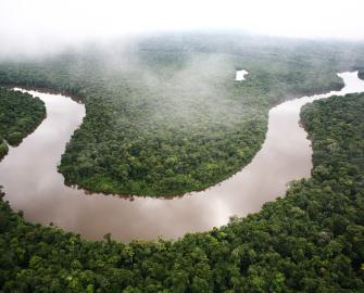 Rivers and wetlands