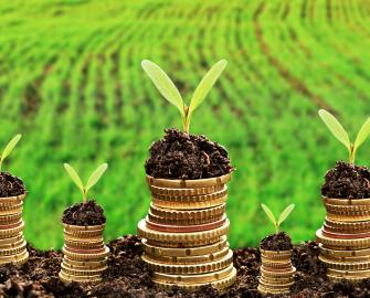 The One Planet Business Newsletter