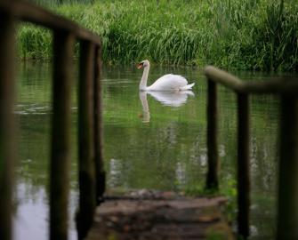 UK rivers and chalk streams