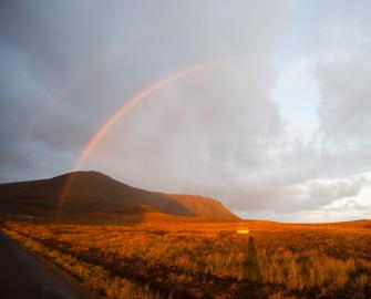Rainbow mind