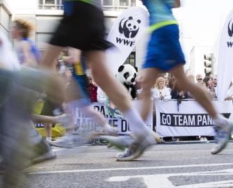 Create or take part in an event in memory