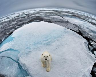 Threats to Nature: Climate Crisis (Primary)