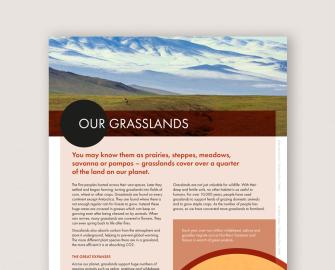 Our Grasslands