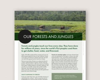 Our Forests and Jungles