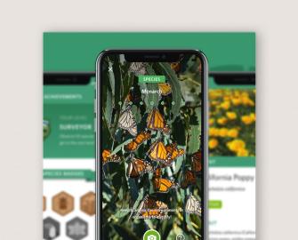 ID plant and animals