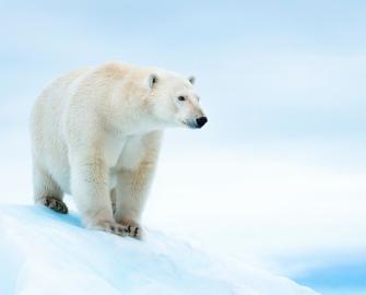 Climate Change Webinar