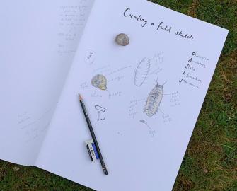 Tips for field sketching