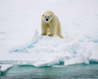 Climate change resources