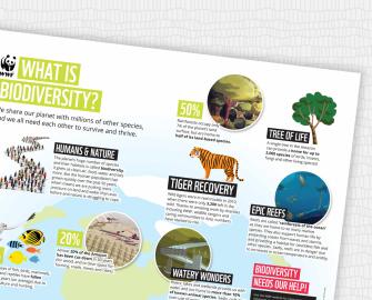 Biodiversity Poster