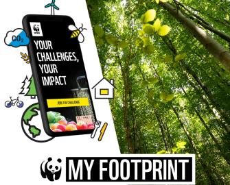 MY FOOTPRINT APP