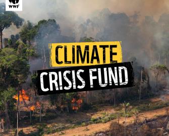 Donate to our climate crisis fund