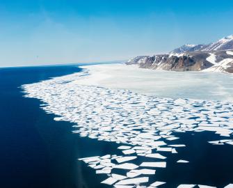 Donate to our Climate Recovery Fund