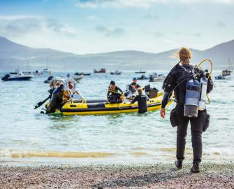 Help build a global seagrass database