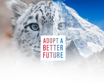How we fight climate change