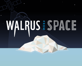 Walrus from space