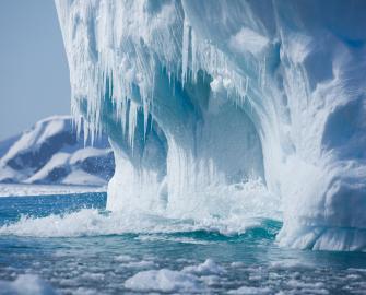 Cool polar quiz