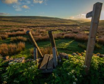 Wild Ingleborough