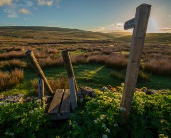 Wild Ingleborough