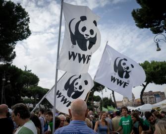 Become a member of WWF