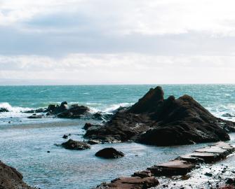 Fife Coast and Countryside Trust