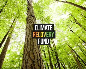Give to the climate recovery fund