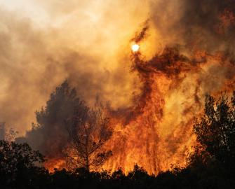 Tell your MP to act on climate change