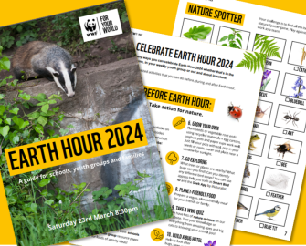 Earth Hour Activity Pack - English