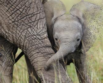 Stop the destruction of nature