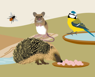 Help keep wildlife cool