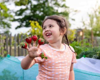 Strawberry Planter