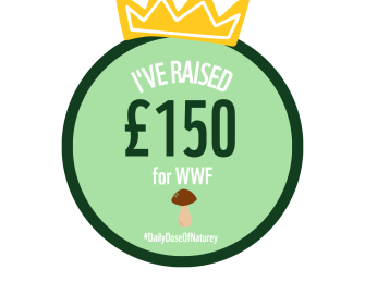 Fundraising badges