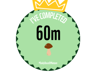 Milestone badges