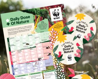 Get your daily dose of nature at school