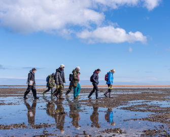 Seagrass monitoring