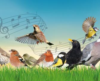 Match the melody